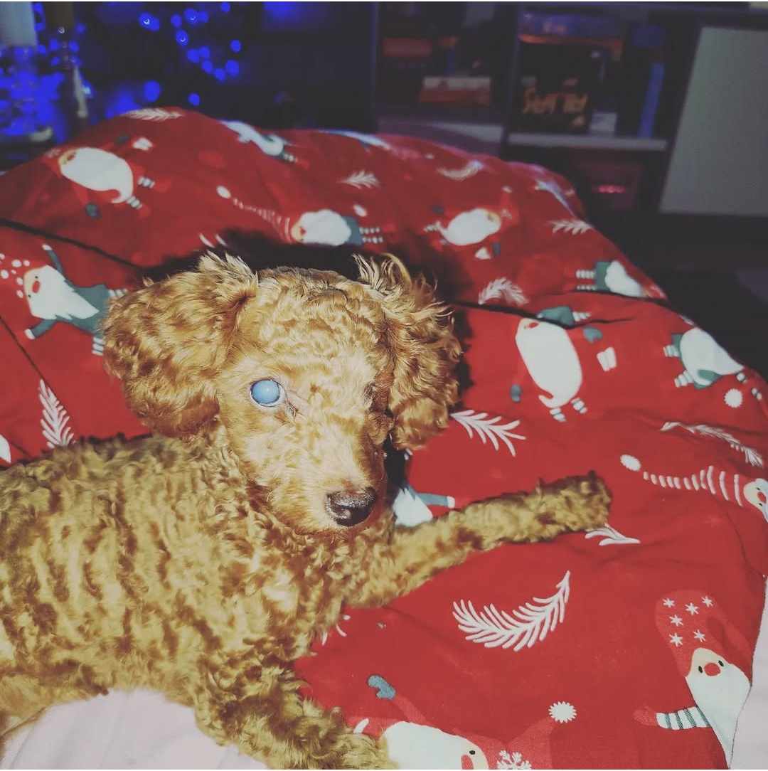 Tulipalon muistot pienen lapsen silmin